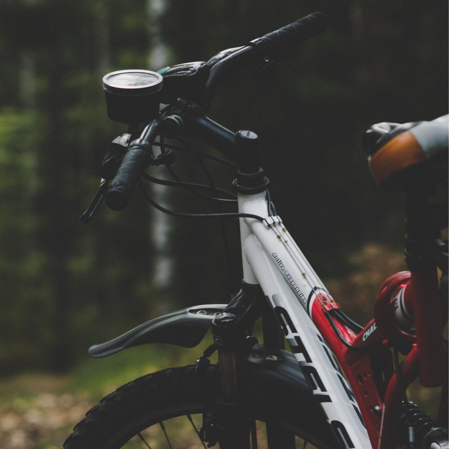 Biking Gear